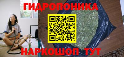 шишки Ачхой-Мартан