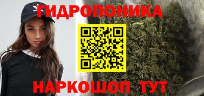 скорость Аша