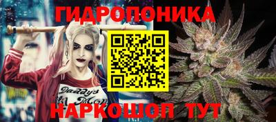 скорость Аша