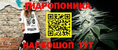спиды Баксан