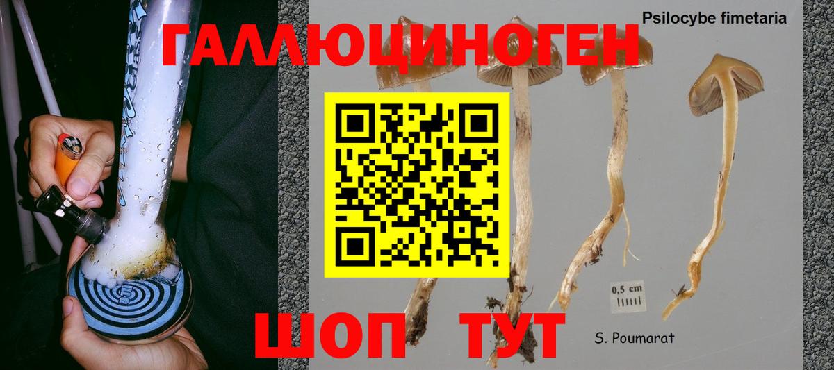 Асбест  Псилоцибиновые грибы Psilocybine cubensis  Вход с VPN 